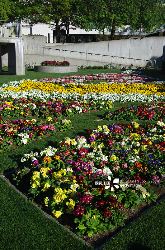 澳大利亚堪培拉议会大厦的众议院正式花园图片素材