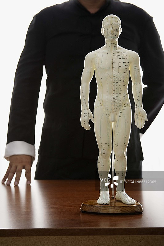 使用针灸模型的针灸师图片素材