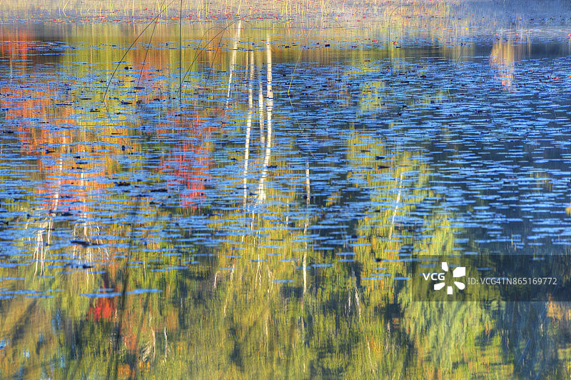 密歇根州海华沙国家森林公园议会湖的秋季倒影图片素材