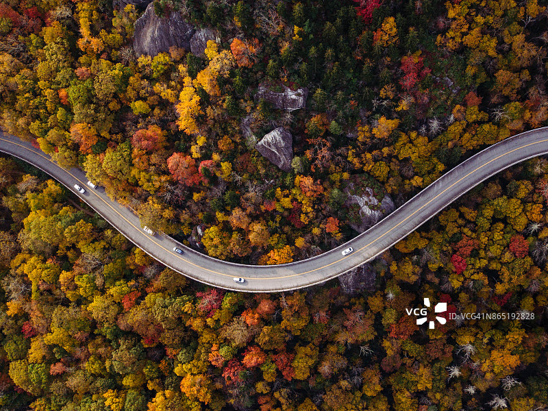 穿过有汽车行驶的森林的道路图片素材