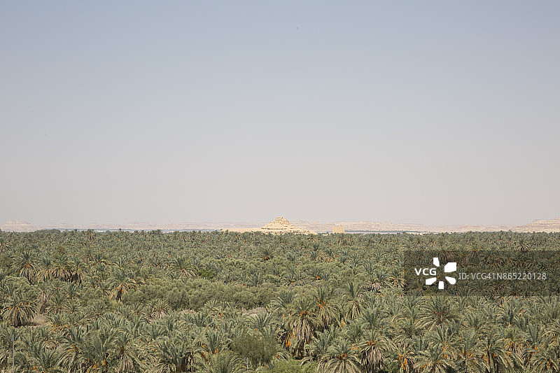 埃及西部沙漠锡瓦绿洲图片素材