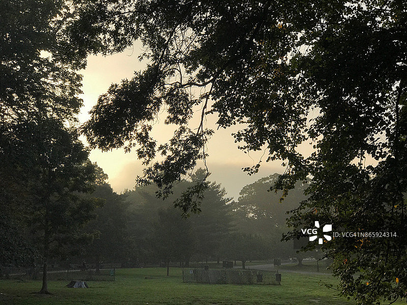 黎明时分的布鲁克林展望公园图片素材