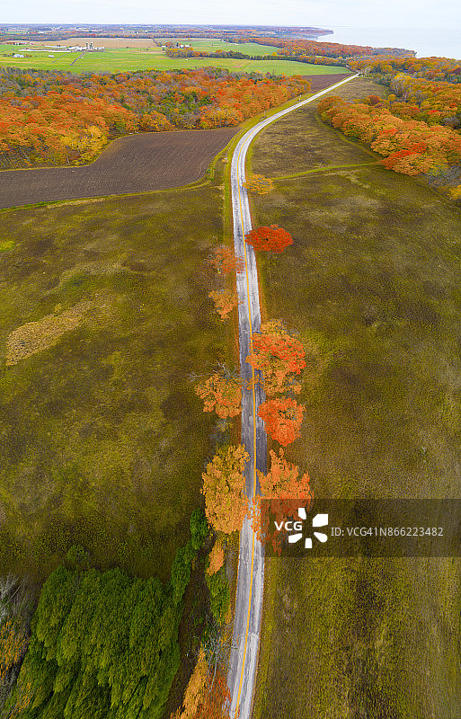 秋季壮丽色彩的乡村公路全景图片素材