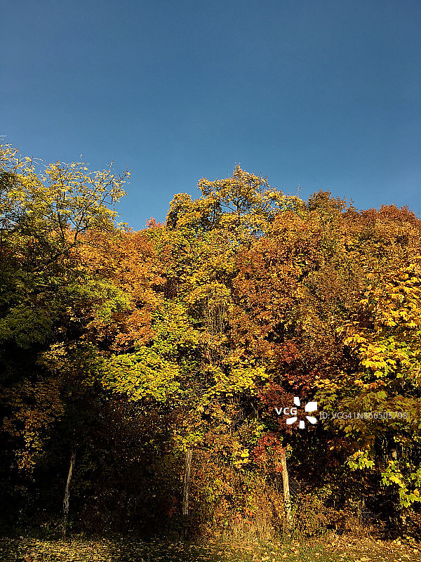 秋天的早晨图片素材