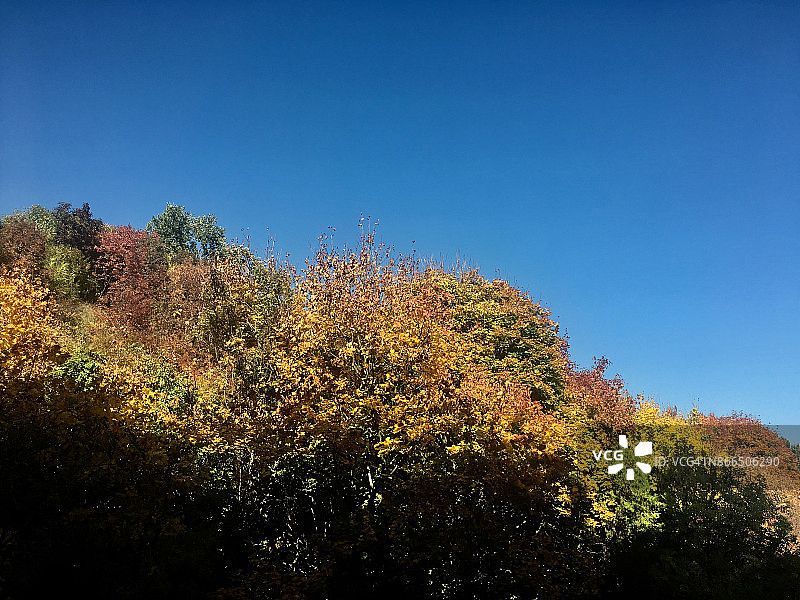 秋天的早晨图片素材