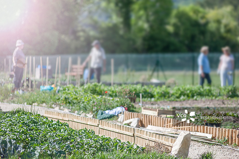 社区花园图片素材