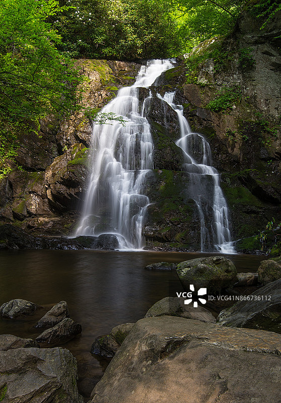 云杉平瀑图片素材