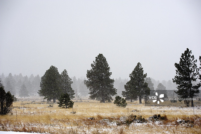 美国亚利桑那州弗拉格斯塔夫附近40号州际公路的路边图片素材