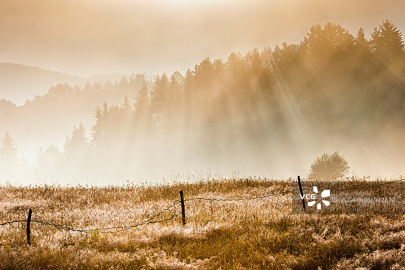 保加利亚Rhodope山- 2010年7月:Yagodina村周围图片素材