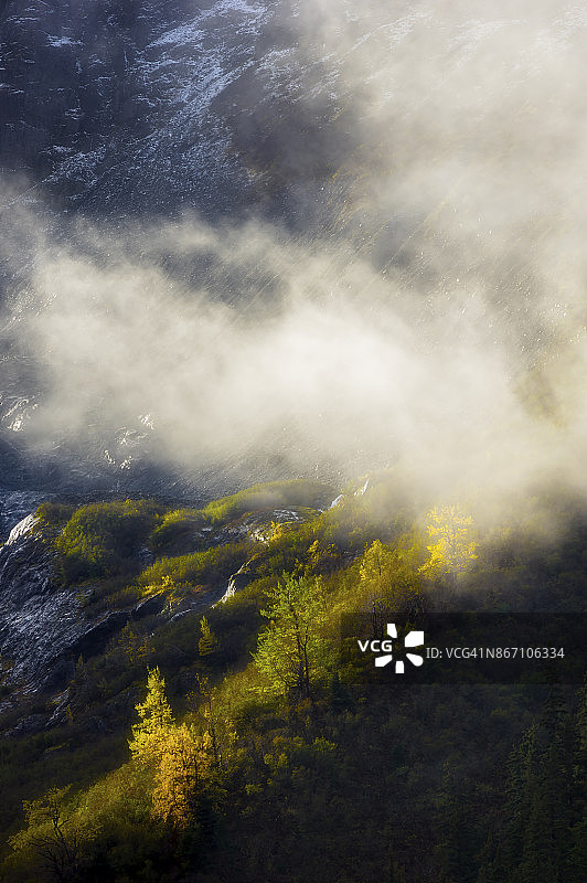 山中的清晨图片素材