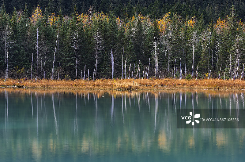 秋天的倒影图片素材
