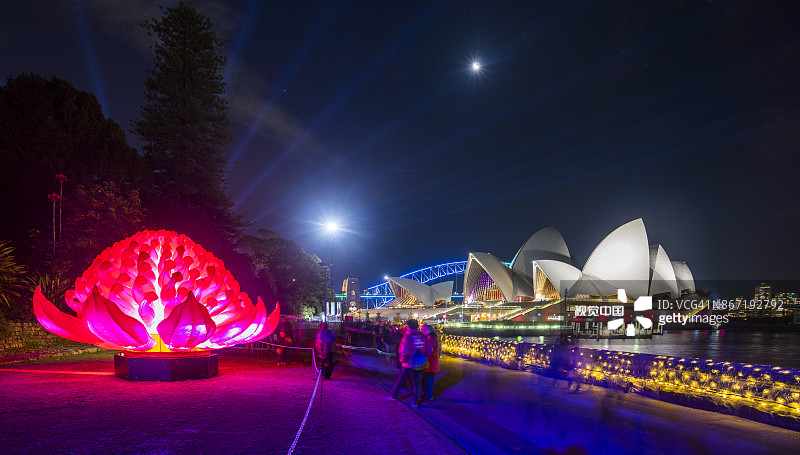 澳洲火焰木花卉灯光装置图片素材