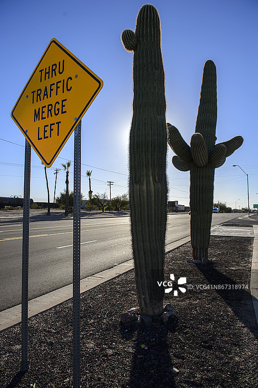 吉拉本德的仙人掌与路标，美国亚利桑那州图片素材