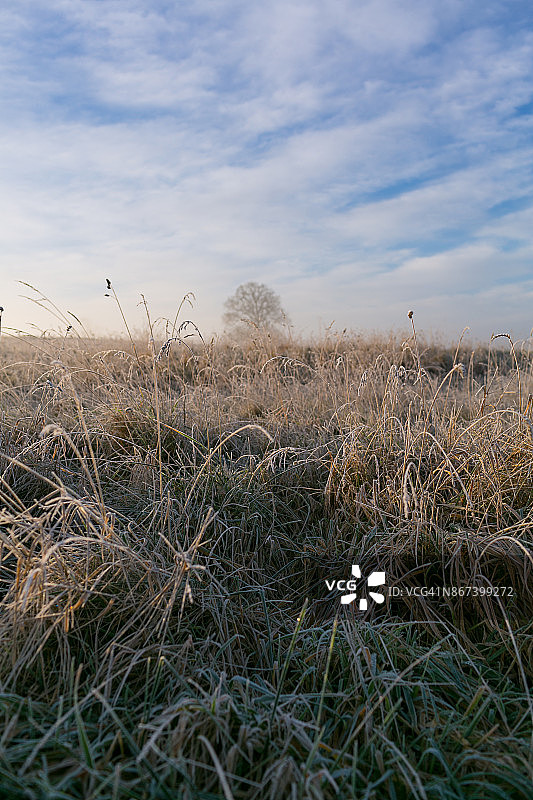 冬天的风景图片素材