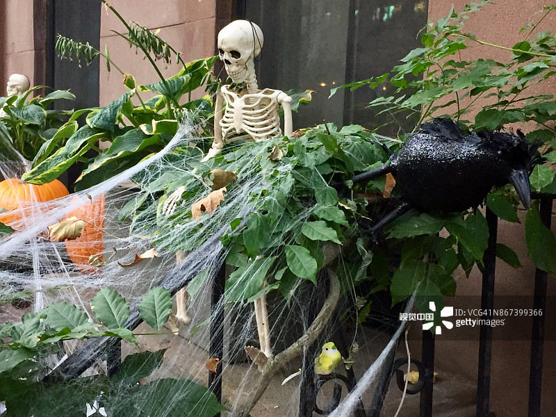 住宅区内可怕的万圣节装饰品图片素材