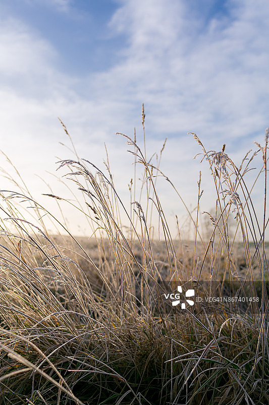 冬天的风景图片素材