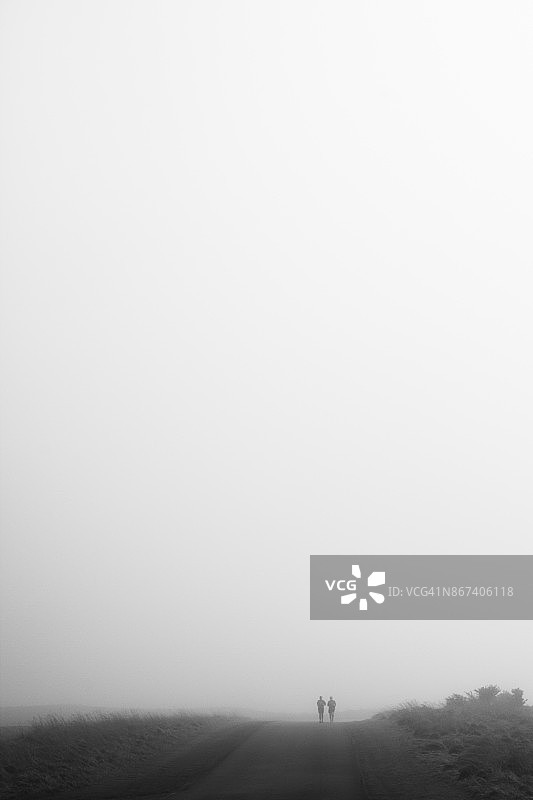 黑白雾景图片素材