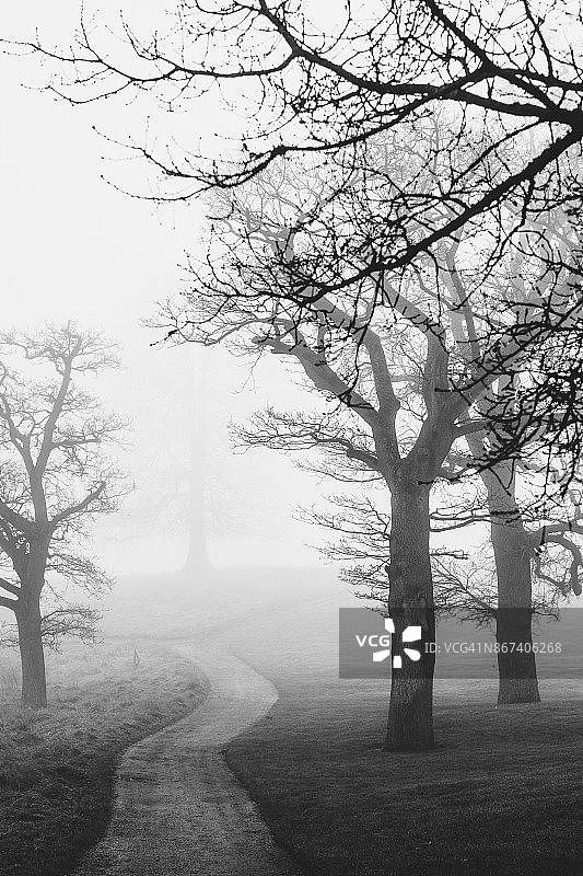 黑白雾景图片素材