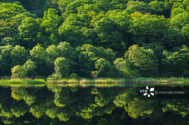 爱尔兰威克洛郡格兰达洛下湖的完美倒影图片素材