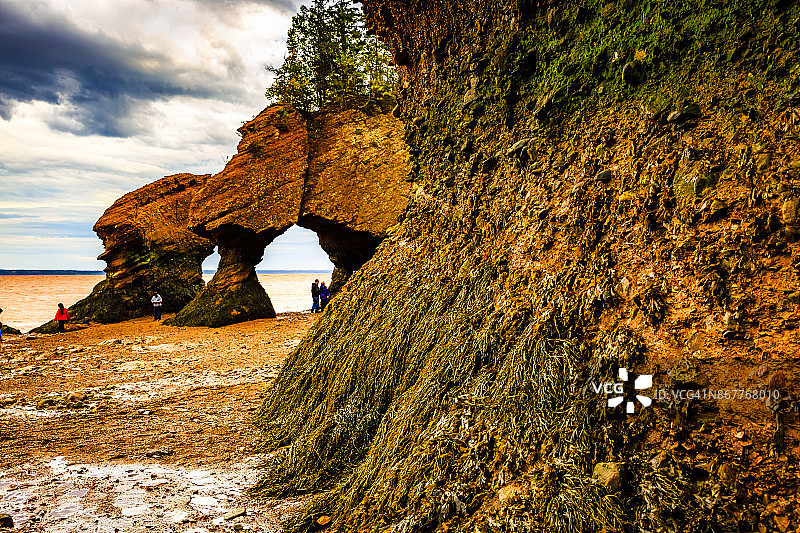 加拿大新不伦瑞克省霍普韦尔岩图片素材