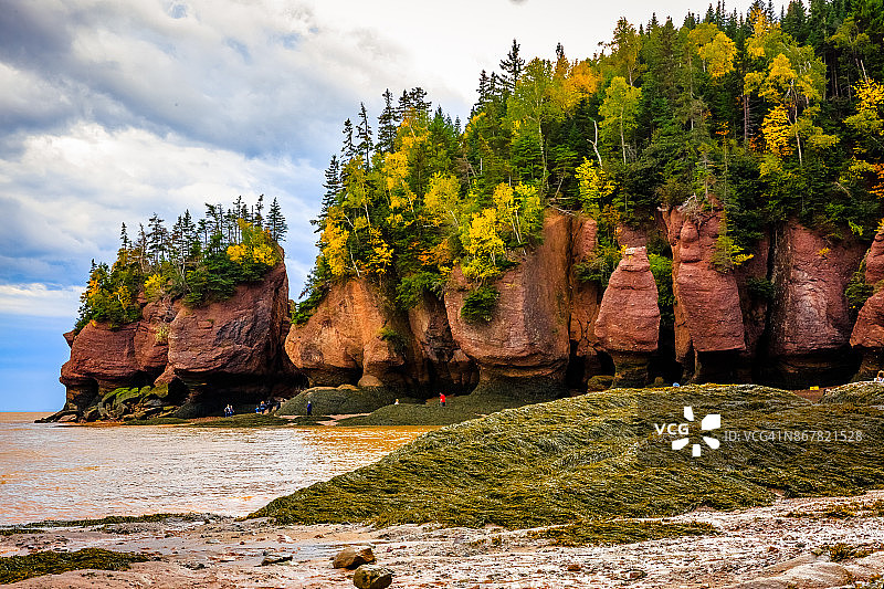 加拿大新不伦瑞克省霍普韦尔岩图片素材