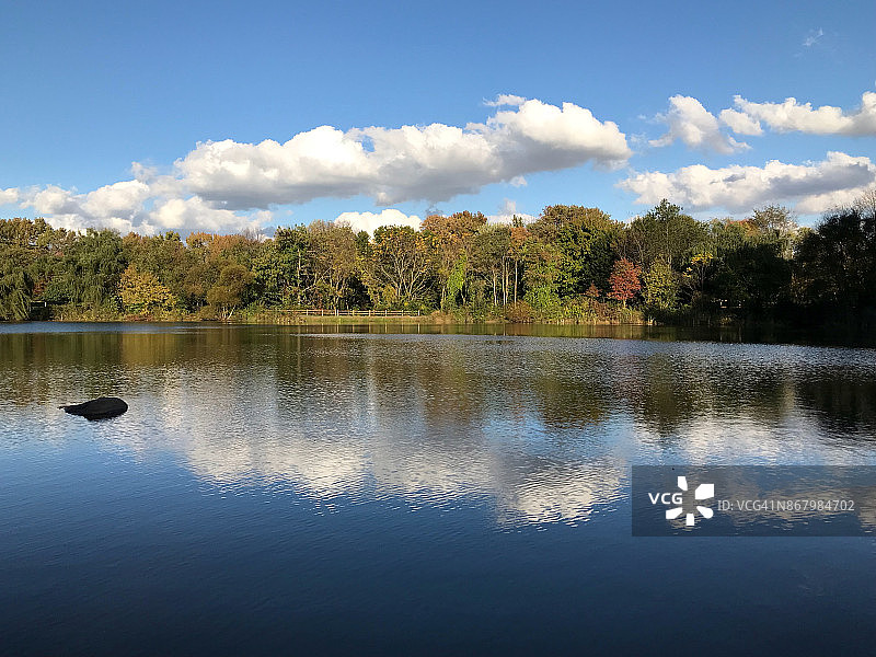 初秋树木线条图片素材