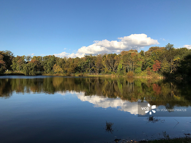 初秋树木线条图片素材