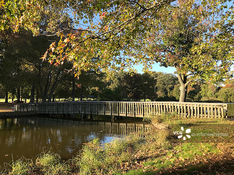 贝尔维尤州立公园的早秋树叶图片素材