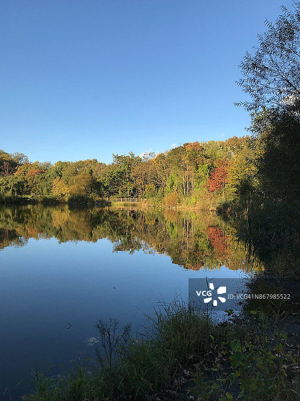 带有倒影的秋叶图片素材