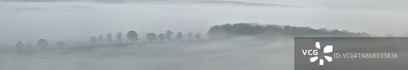 日出时雾中的树木全景图片素材