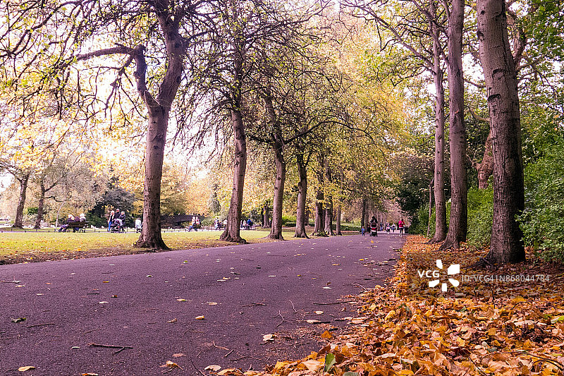 秋天的色彩在公园里图片素材