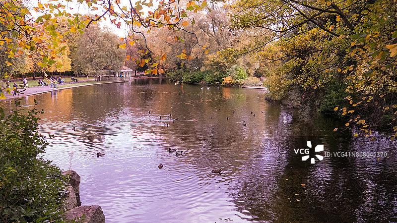 秋天的颜色图片素材