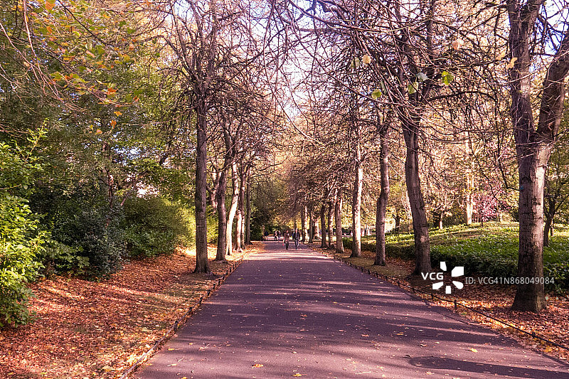公园里的秋天图片素材