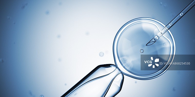 人工授精图片素材