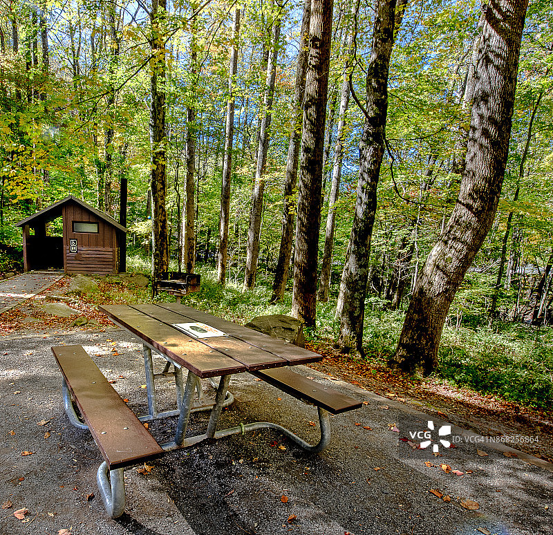 美国大雾山国家公园的野餐桌图片素材