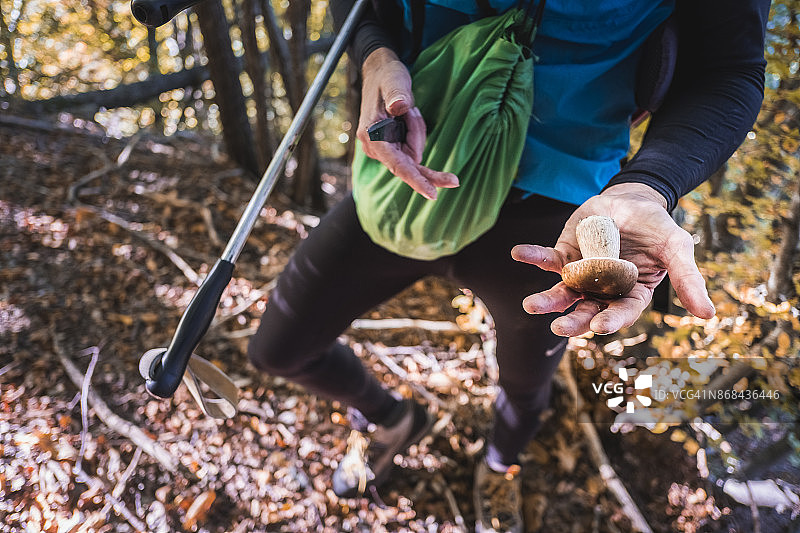 男子在树林里采摘蘑菇图片素材