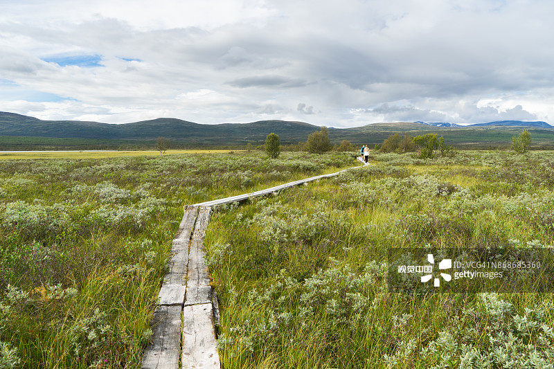 福克斯图米拉沼泽图片素材