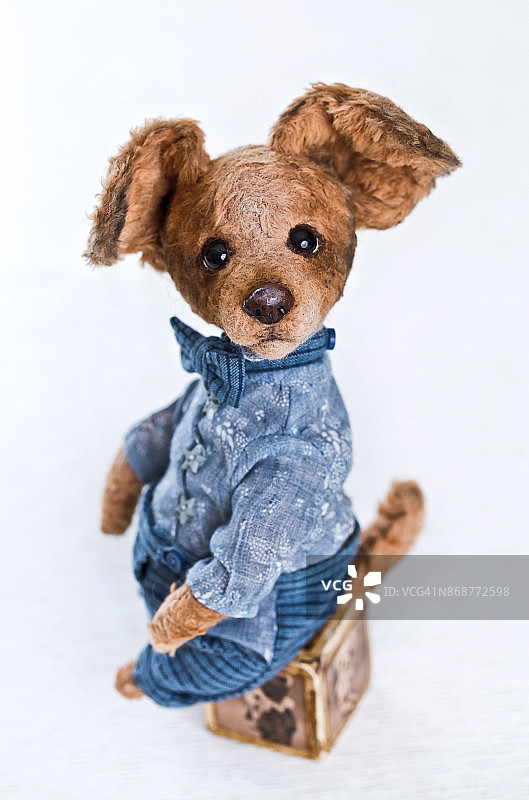 白色背景上的蓝色泰迪熊玩具狗图片素材