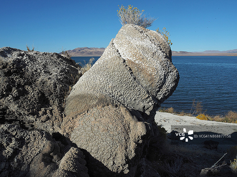 内华达州金字塔湖著名的爆米花岩石图片素材