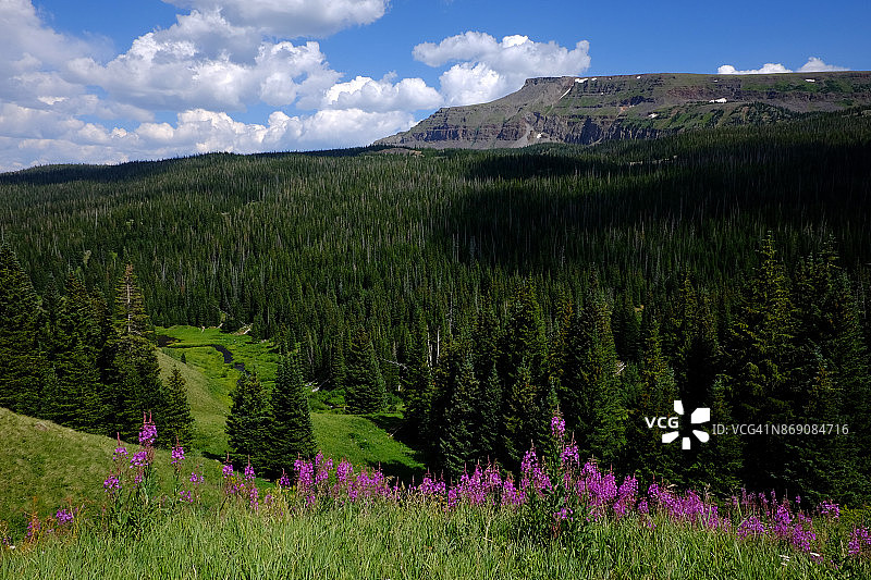 科罗拉多州平顶荒原的风景图片素材