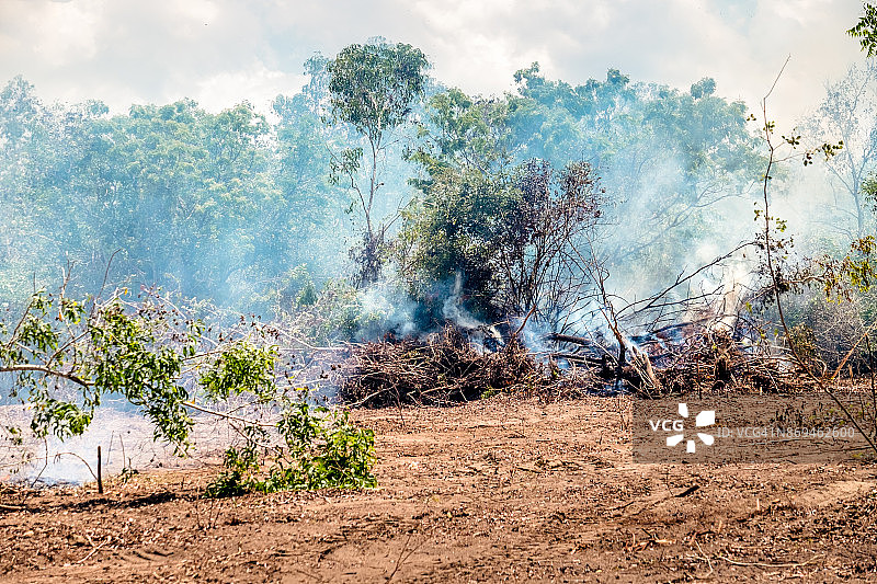 菠萝蜜的主观镜头图片素材