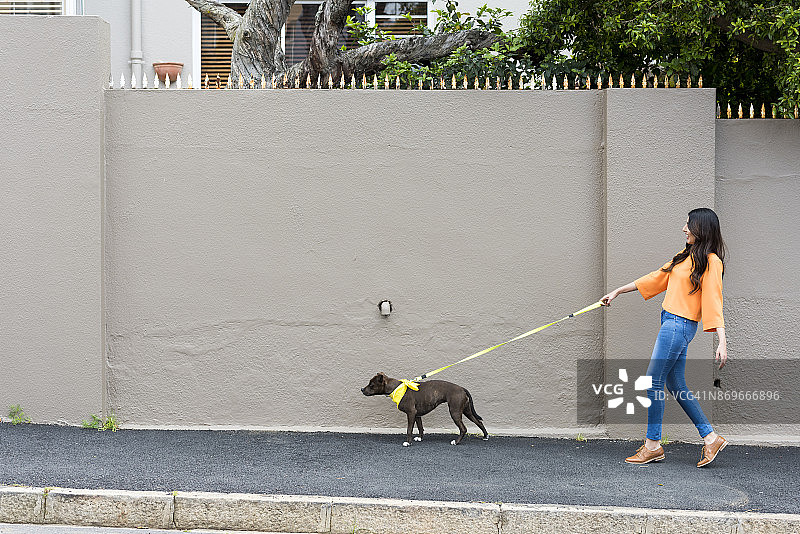 女人在郊区遛狗图片素材
