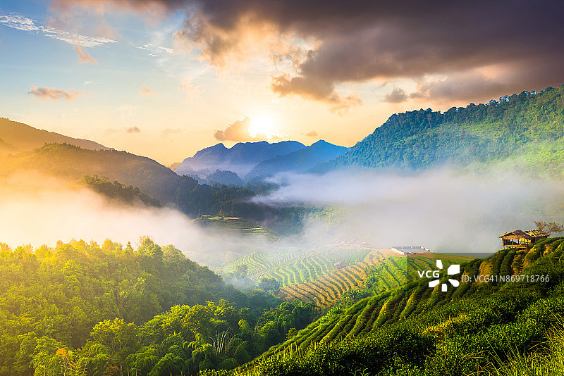 泰国北部的山景，日出和薄雾图片素材