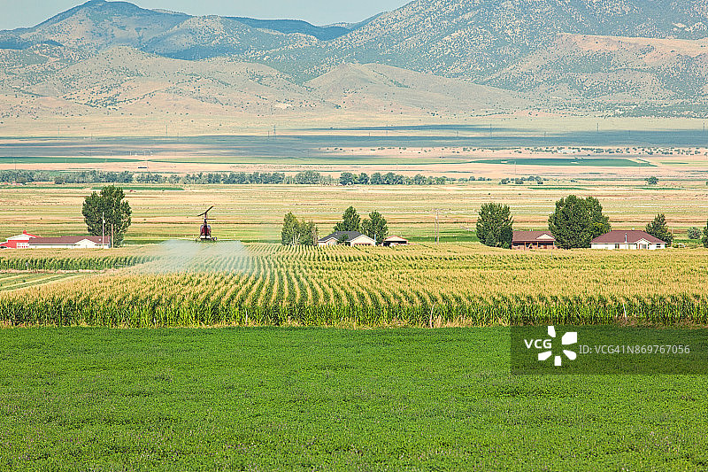 直升机喷洒农作物图片素材