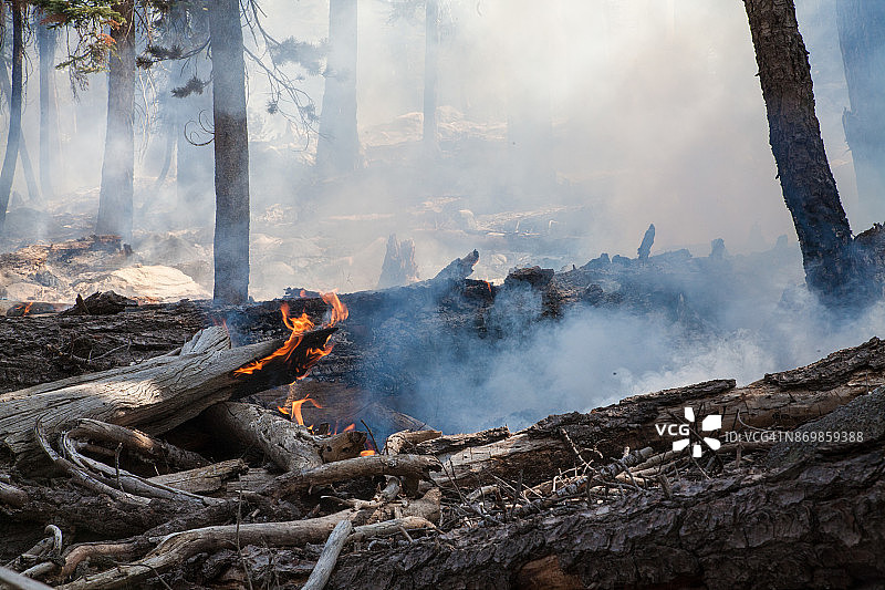 优胜美地国家公园的管理火灾图片素材