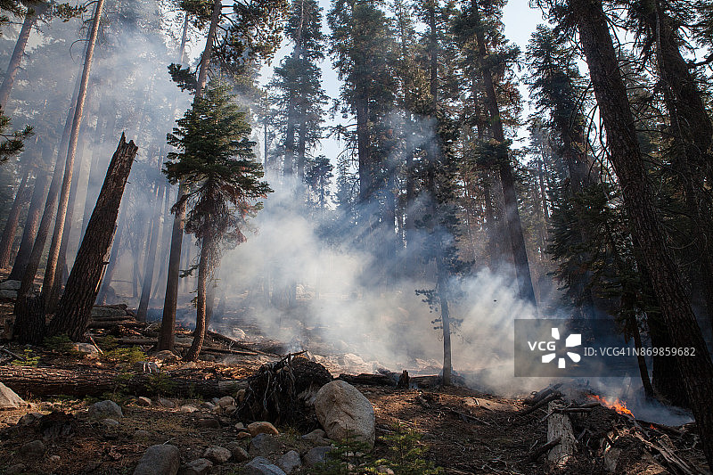 优胜美地国家公园的管理火灾图片素材