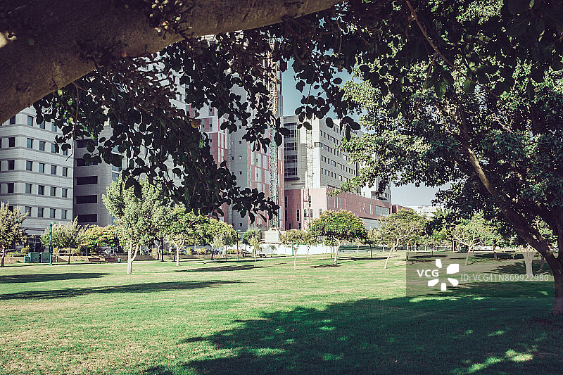 从公园看到的Assuta医院大楼图片素材