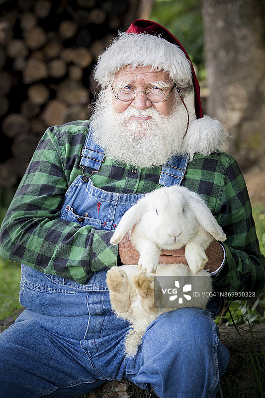 圣诞老人抱着温顺的白色兔子图片素材