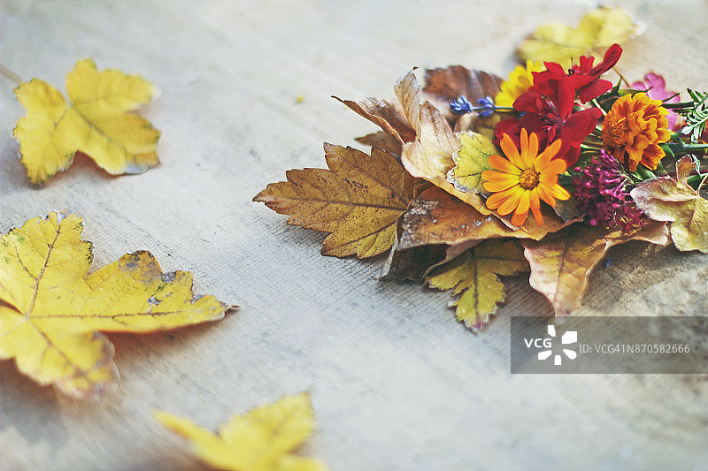 秋季感恩节装饰图片素材