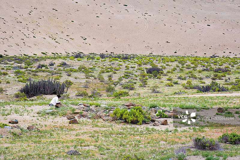 阿塔卡马沙漠的壮丽景色图片素材